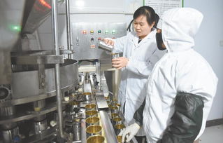 綠色技術(shù)創(chuàng)新 青海省蠶豆罐頭研發(fā)助力生物化工新突破